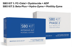 Two supplement boxes for Biotics Research SBO Kit Phase 2 Gut Motility Digestion Support, with one blue-and-white box in front and a larger white-and-blue box behind. Text at the top reads 'SBO KIT 1: FC-Cidal + Dysbiocide + ADP' and 'SBO KIT 2: Beta-Plus + Hydro-Zyme + Motility-Zyme'.